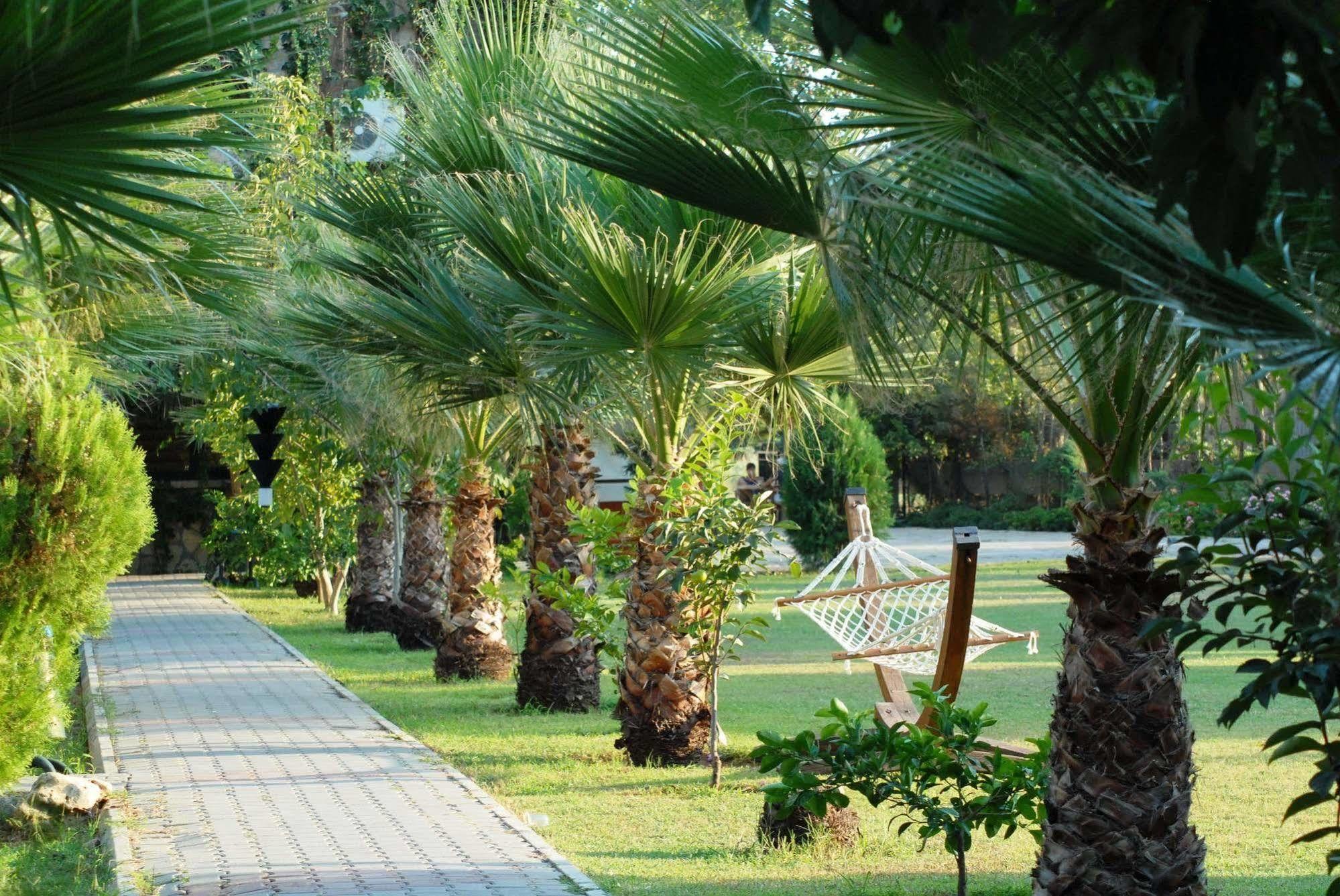 Belkon Hotel 4*